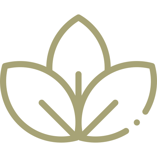 Icon institut Marion